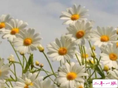 迎接新学期的励志短句带图片 开学励志说说致自己1