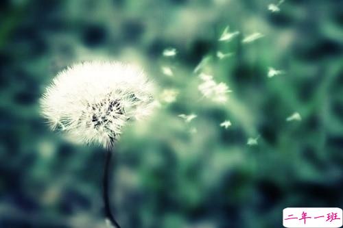 关于现实的人生感悟带图片 27条值得收藏和学习的经典说说大全2