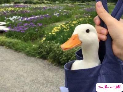 迎接新学期的励志短句带图片 开学励志说说致自己2