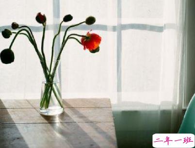 最新励志晚安说说致自己配图 越努力的人才会越幸运12