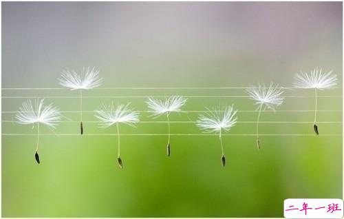 关于现实的人生感悟带图片 27条值得收藏和学习的经典说说大全7