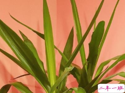 迎接新学期的励志短句带图片 开学励志说说致自己11