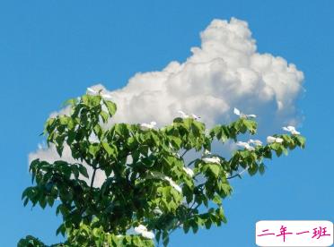 一些特别戳心窝的句子 想陪你看月落重生灯再红9