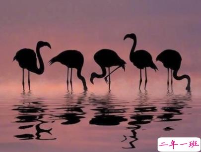 迎接新学期的励志短句带图片 开学励志说说致自己12