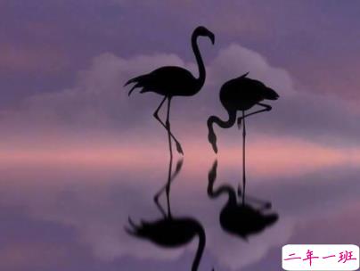 迎接新学期的励志短句带图片 开学励志说说致自己14