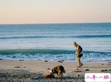 一些特别戳心窝的句子 想陪你看月落重生灯再红13