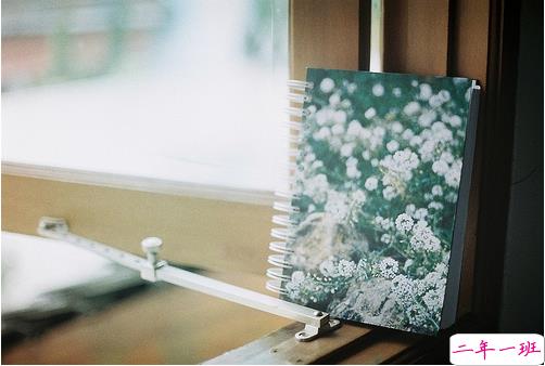 朋友圈吸引人的经典说说带图片2019精选 看似简单其实很具意义的句子1