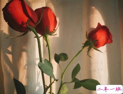 最火励志说说精选带图片 微信励志句子简短霸气5