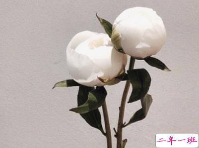 最火励志说说精选带图片 微信励志句子简短霸气9