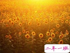 努力奋斗的句子带图片 高质量治愈系励志说说