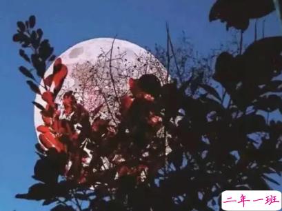 最火励志说说精选带图片 微信励志句子简短霸气15