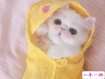 晚安心语励志简短一点 睡前晚安说说精选带图片6