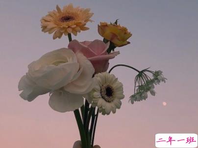 晚安心语励志简短一点 睡前晚安说说精选带图片12