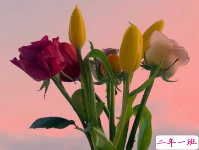 晚安心语励志简短一点 睡前晚安说说精选带图片15