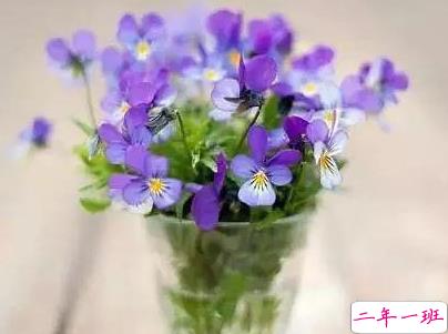 2019五月你好励志说说配图 微信励志说说激人奋进5