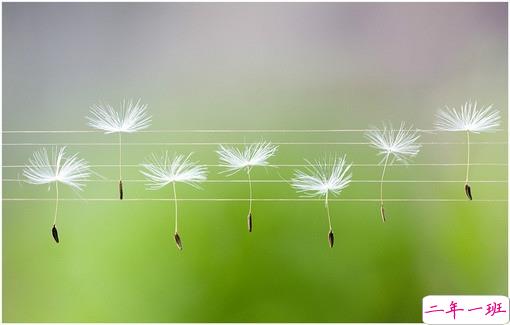 长大变成熟了的经典说说配图 微信经典说说现实人生感悟带图片 11