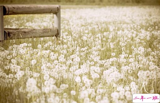 长大变成熟了的经典说说配图 微信经典说说现实人生感悟带图片 12