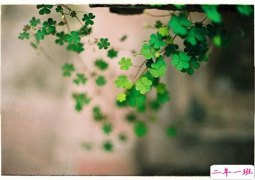 青春励志经典说说大全带图片 好听又特别有哲理的一些话5