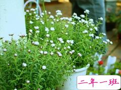 致自己的人生经典说说带图片 最新朋友圈经典说说人生哲言