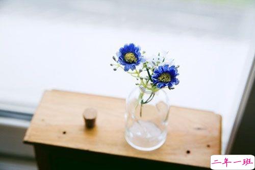 人生经典名言说说大全带图片 积极向上的哲理说说配图关于人生和成长4