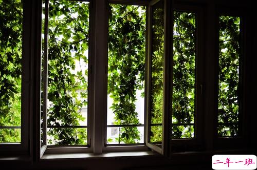 很经典的英文说说带翻译有配图 英文心情说说大全7