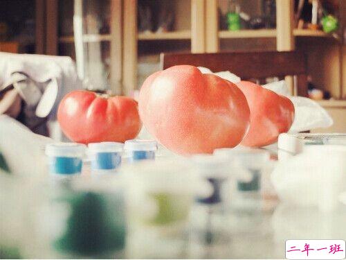 成长之路上遇到的一些经典哲理说说配图 很有道理的精辟说说发朋友圈10