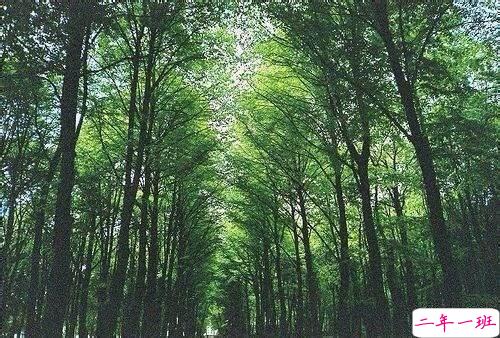 很经典的英文说说带翻译有配图 英文心情说说大全11