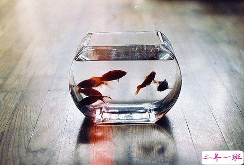 成长之路上遇到的一些经典哲理说说配图 很有道理的精辟说说发朋友圈14