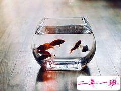 成长之路上遇到的一些经典哲理说说配图 很有道理的精辟说说发朋友圈