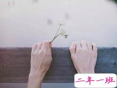 很经典的英文说说带翻译有配图 英文心情说说大全