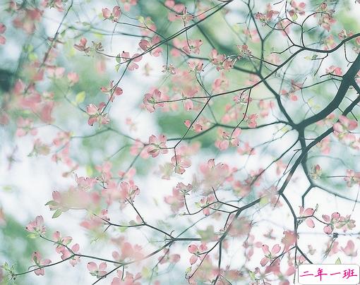 青春年少岁月中对人生的思考 精辟内涵的经典说说带图片很有意境1