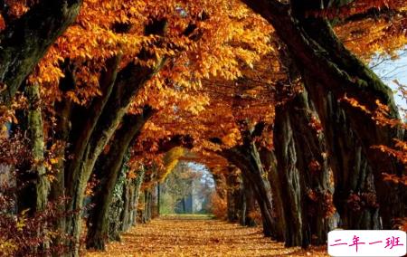 今日立秋图片说说2018最新版 立秋的经典说说带图片精选1