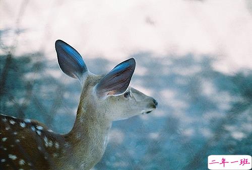 青春年少岁月中对人生的思考 精辟内涵的经典说说带图片很有意境7