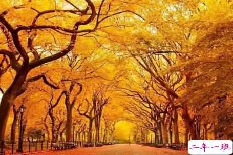 今日立秋图片说说2018最新版 立秋的经典说说带图片精选2