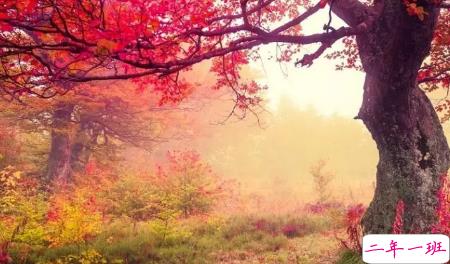 今日立秋图片说说2018最新版 立秋的经典说说带图片精选3