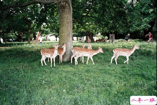 2018再见2019你好励志说说致自己带图片 送给自己的2019说说超励志4