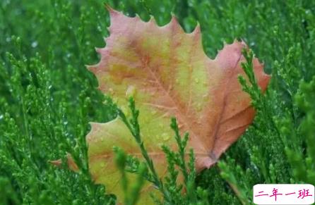 今日立秋图片说说2018最新版 立秋的经典说说带图片精选4