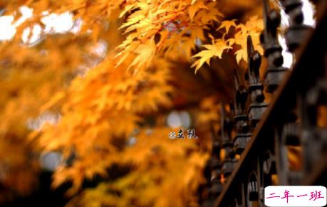 今日立秋图片说说2018最新版 立秋的经典说说带图片精选8