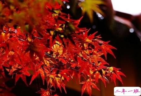 今日立秋图片说说2018最新版 立秋的经典说说带图片精选9