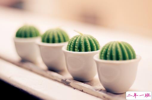 超暖心的朋友圈励志说说带图片 致所有人的励志说说值得收藏2