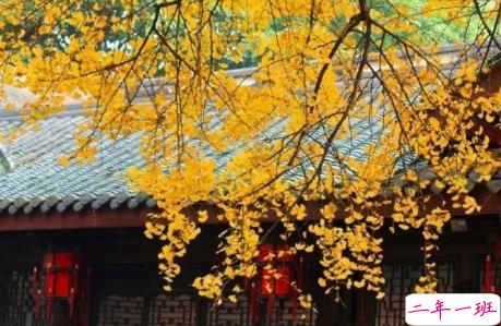 今日立秋图片说说2018最新版 立秋的经典说说带图片精选10