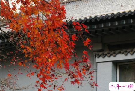 今日立秋图片说说2018最新版 立秋的经典说说带图片精选11