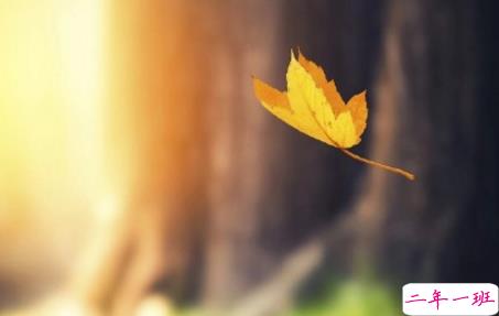 今日立秋图片说说2018最新版 立秋的经典说说带图片精选12