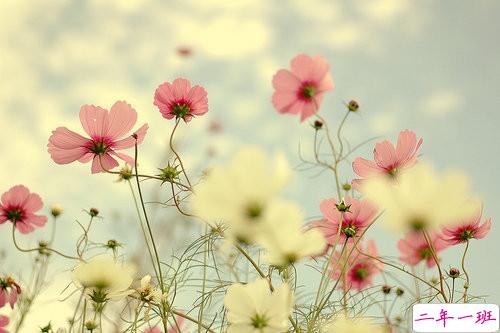 超暖心的朋友圈励志说说带图片 致所有人的励志说说值得收藏8