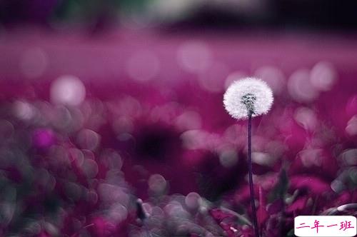 超暖心的朋友圈励志说说带图片 致所有人的励志说说值得收藏15