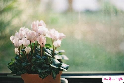 很有深度的微信励志说说带图片 说出来很扎心但很值得学习的说说7