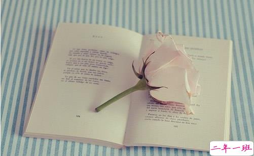 期待明天内涵励志说说致自己配图 对未来充满希望的经典励志说说9