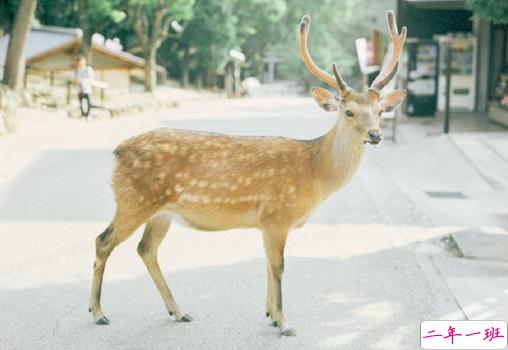 关于生活的哲理有道理说说带图片 生活总是这样不能叫人处处都满意但我们还要热情地活下去4