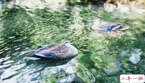 关于生活的哲理有道理说说带图片 生活总是这样不能叫人处处都满意但我们还要热情地活下去8