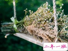 微信朋友圈治愈系早安心语说说 温暖小清新早安说说大全